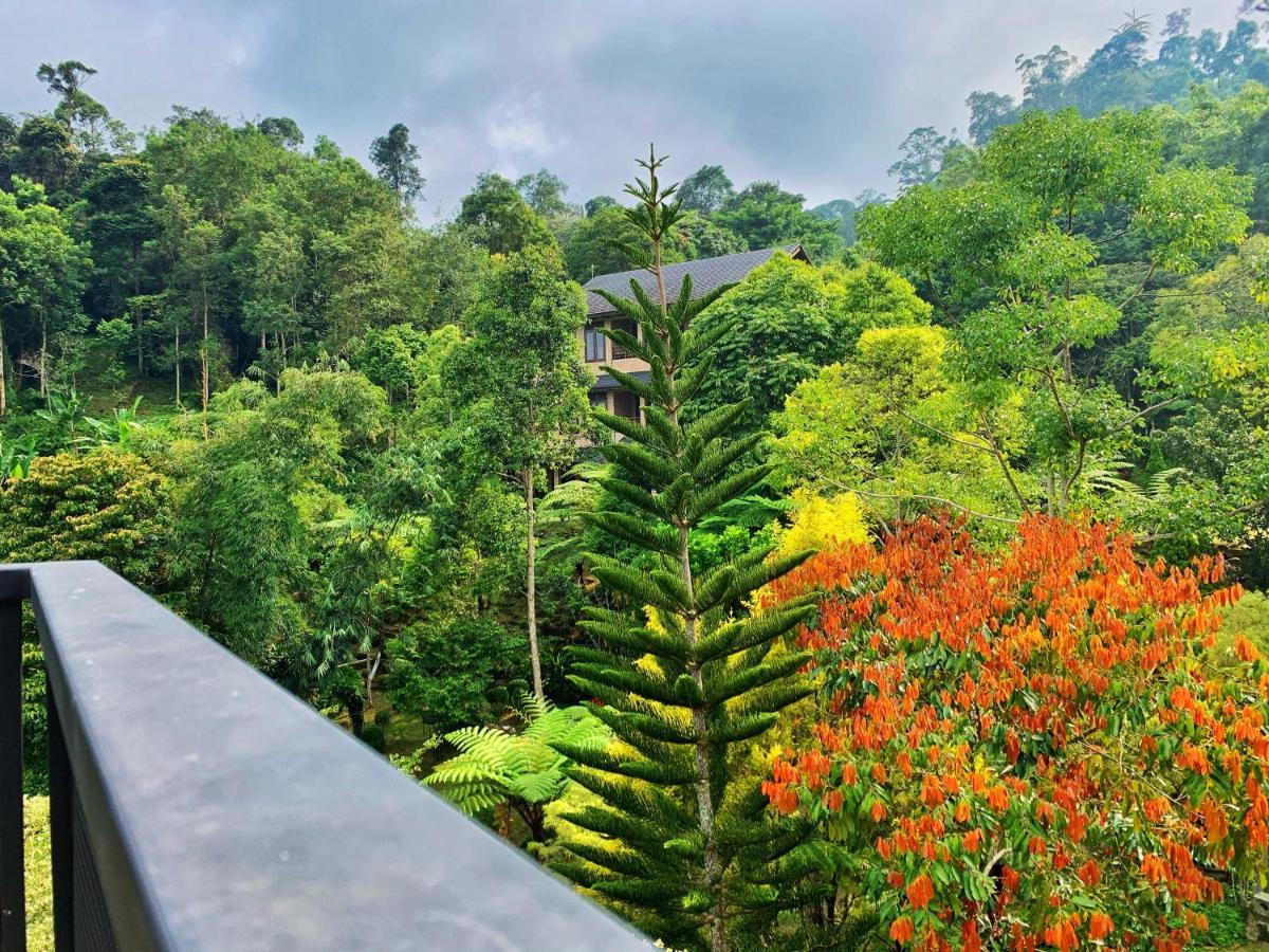 Harmony Valley Retreat Bukit Tinggi Exterior foto